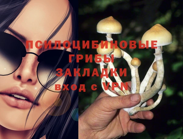 каннабис Беломорск
