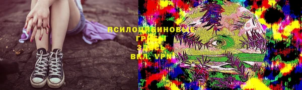 гидра Белокуриха