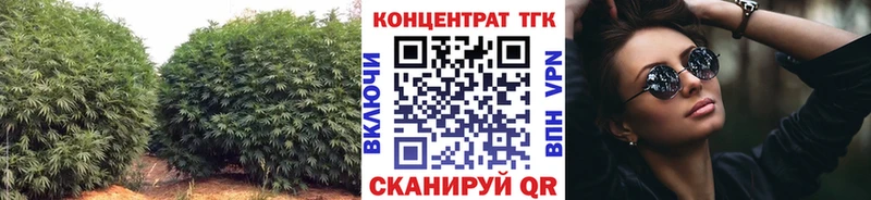 Дистиллят ТГК концентрат  купить наркотики цена  MEGA онион  Зерноград 