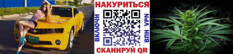 магазин    Зерноград  Конопля Amnesia 